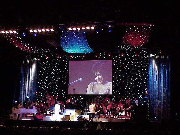 Shirley Bassey Starcloth